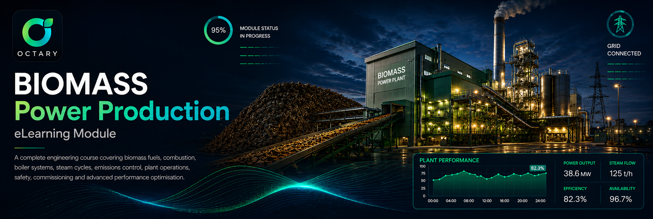 Industrial Biomass Power Generation: Combustion Engineering to Grid-Scale Operation &mdash; eLearning module